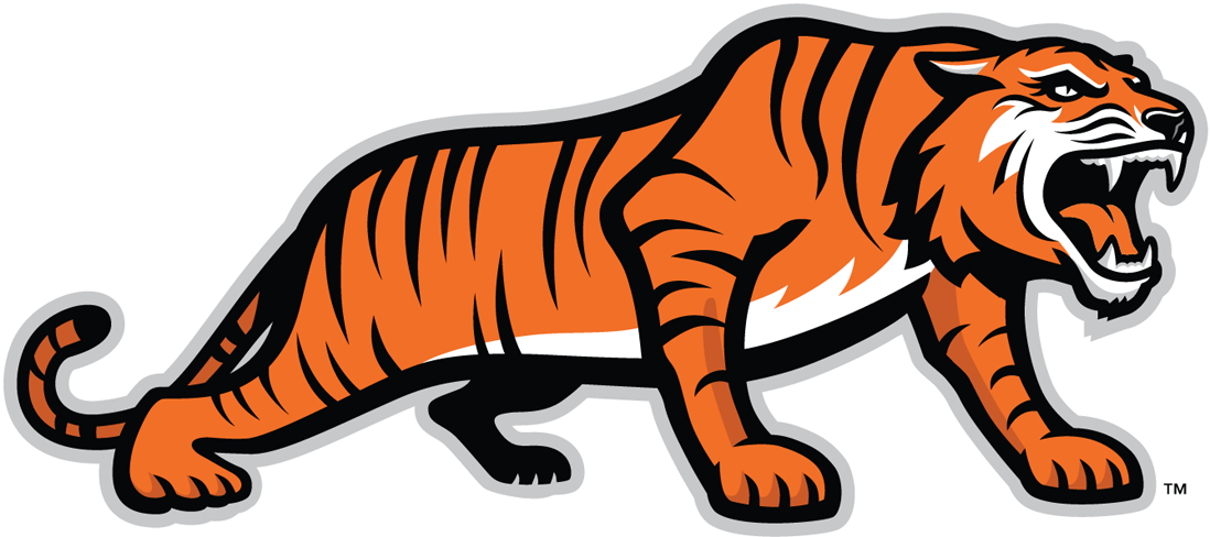 RIT Tigers 2004-Pres Alternate Logo v3 DIY iron on transfer (heat transfer)